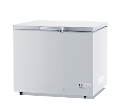 Камера морозильна (скриня) ESSIN (BD305),305л